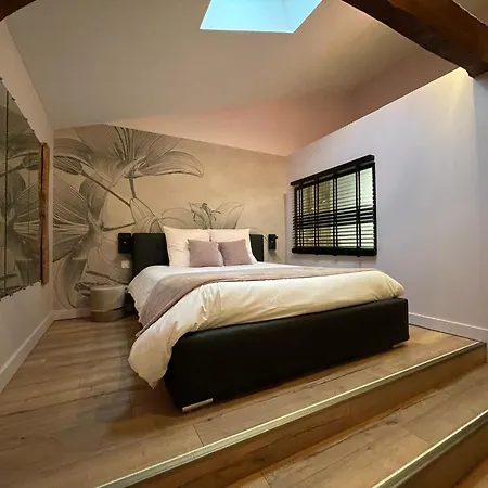 Le St Vincent Hotel Roquefort (Landes)