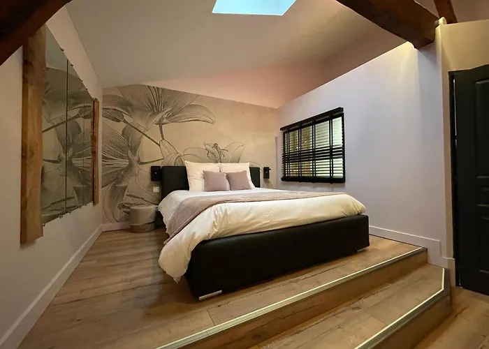 Le St Vincent Hotel Roquefort (Landes)